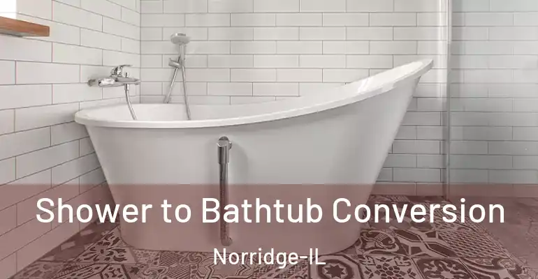 inner Bathroom imggen Shower to Bathtub Conversion Norridge-IL