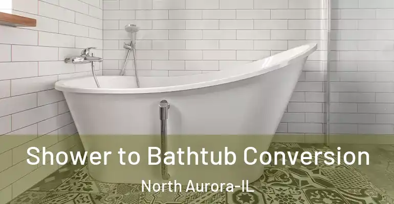 inner Bathroom imggen Shower to Bathtub Conversion North Aurora-IL