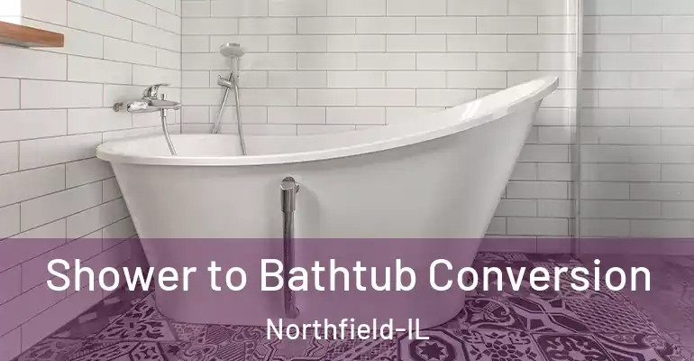 inner Bathroom imggen Shower to Bathtub Conversion Northfield-IL