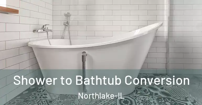 inner Bathroom imggen Shower to Bathtub Conversion Northlake-IL