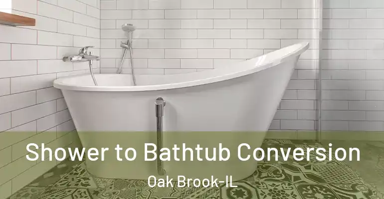 inner Bathroom imggen Shower to Bathtub Conversion Oak Brook-IL