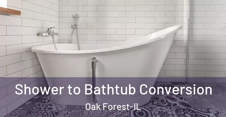 inner Bathroom imggen Shower to Bathtub Conversion Oak Forest-IL