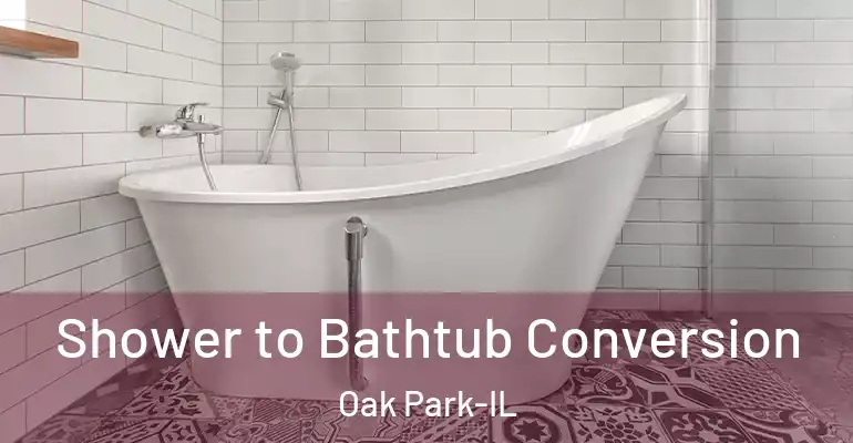 inner Bathroom imggen Shower to Bathtub Conversion Oak Park-IL