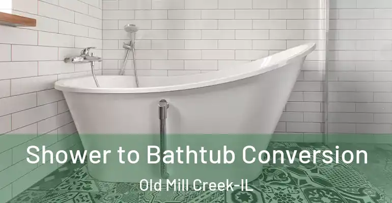 inner Bathroom imggen Shower to Bathtub Conversion Old Mill Creek-IL