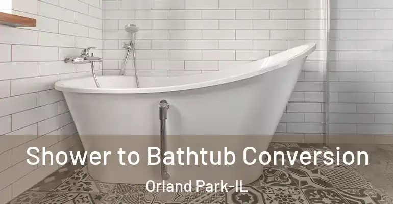 inner Bathroom imggen Shower to Bathtub Conversion Orland Park-IL