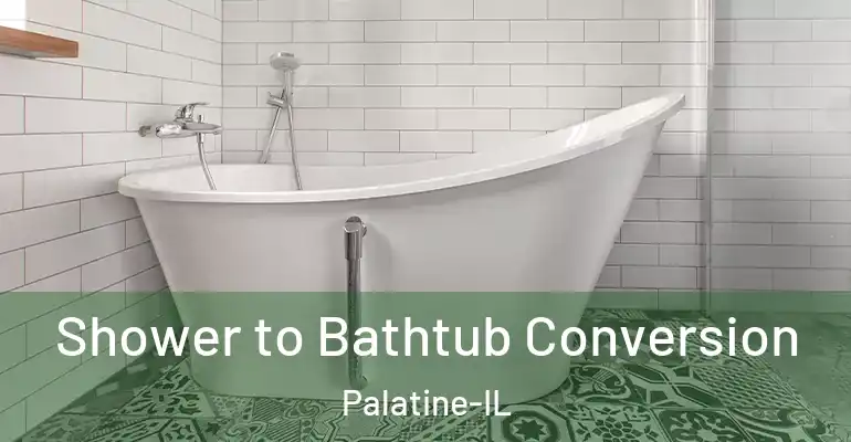 inner Bathroom imggen Shower to Bathtub Conversion Palatine-IL