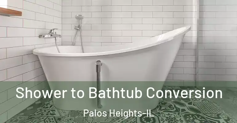 inner Bathroom imggen Shower to Bathtub Conversion Palos Heights-IL
