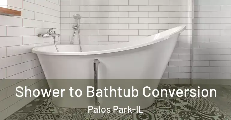 inner Bathroom imggen Shower to Bathtub Conversion Palos Park-IL