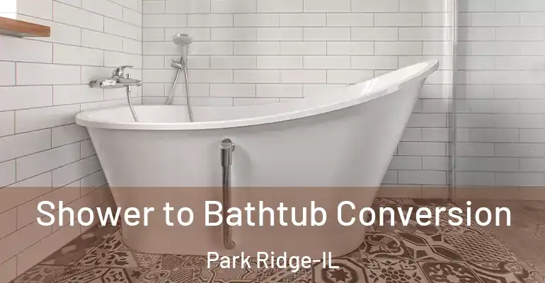 inner Bathroom imggen Shower to Bathtub Conversion Park Ridge-IL