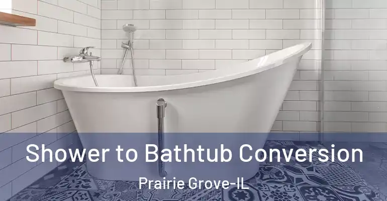 inner Bathroom imggen Shower to Bathtub Conversion Prairie Grove-IL