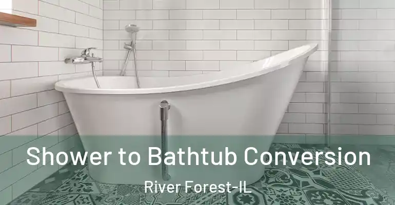 inner Bathroom imggen Shower to Bathtub Conversion River Forest-IL