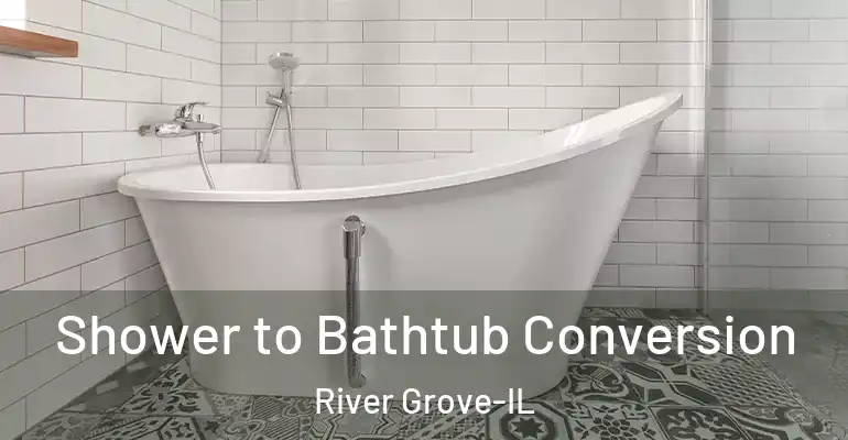inner Bathroom imggen Shower to Bathtub Conversion River Grove-IL