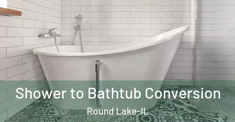 inner Bathroom imggen Shower to Bathtub Conversion Round Lake-IL