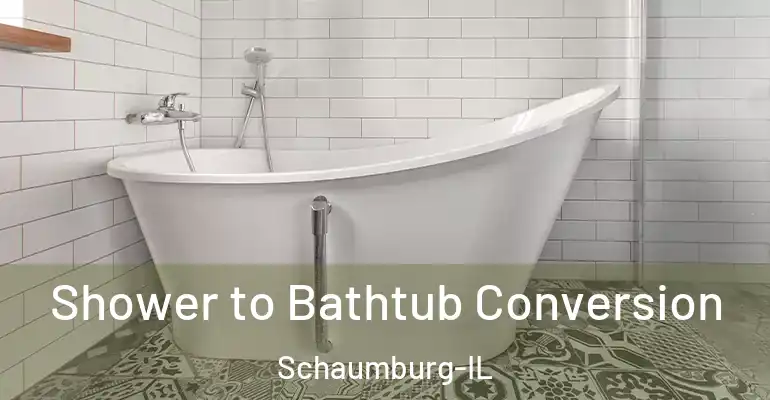 inner Bathroom imggen Shower to Bathtub Conversion Schaumburg-IL