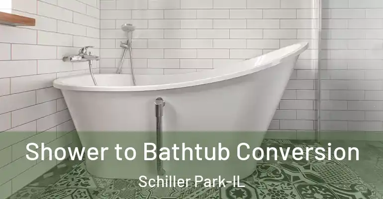 inner Bathroom imggen Shower to Bathtub Conversion Schiller Park-IL