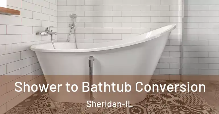 inner Bathroom imggen Shower to Bathtub Conversion Sheridan-IL