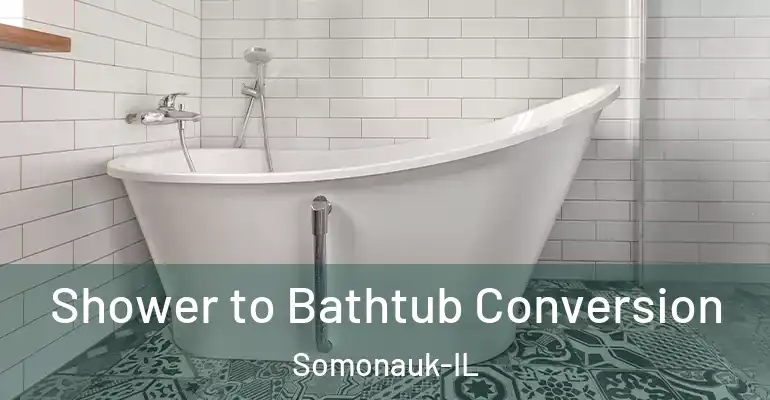 inner Bathroom imggen Shower to Bathtub Conversion Somonauk-IL