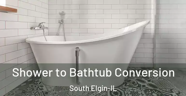 inner Bathroom imggen Shower to Bathtub Conversion South Elgin-IL
