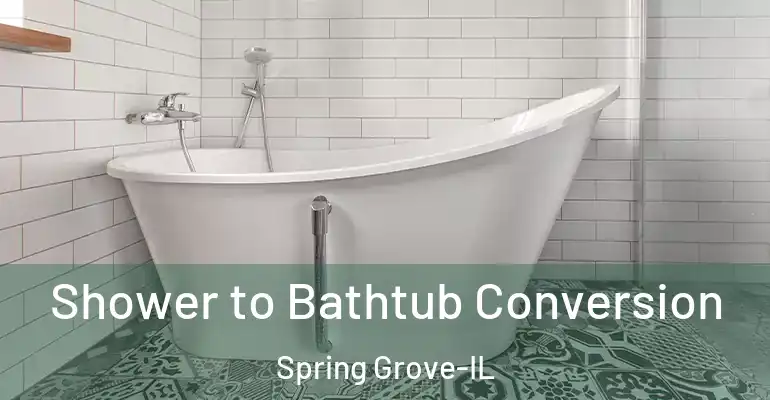 inner Bathroom imggen Shower to Bathtub Conversion Spring Grove-IL