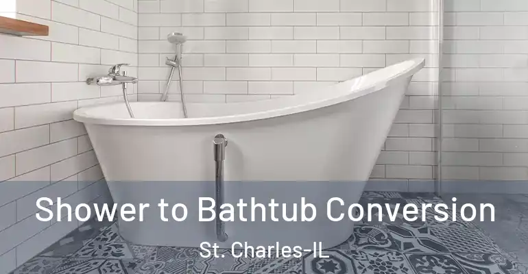inner Bathroom imggen Shower to Bathtub Conversion St. Charles-IL