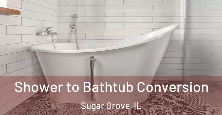 inner Bathroom imggen Shower to Bathtub Conversion Sugar Grove-IL