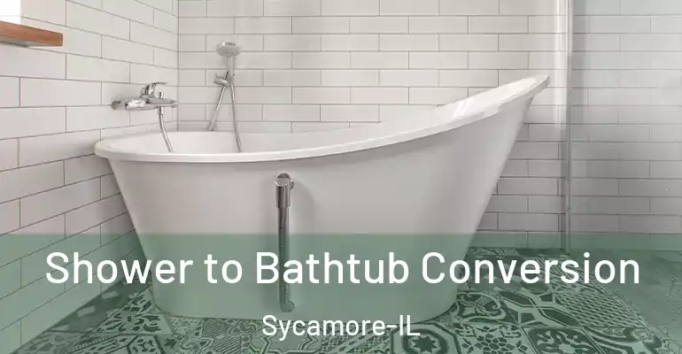 inner Bathroom imggen Shower to Bathtub Conversion Sycamore-IL