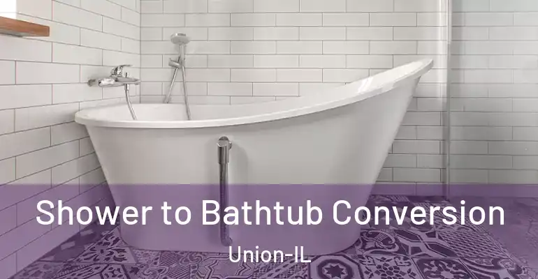 inner Bathroom imggen Shower to Bathtub Conversion Union-IL
