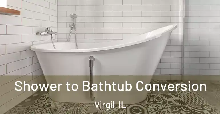 inner Bathroom imggen Shower to Bathtub Conversion Virgil-IL
