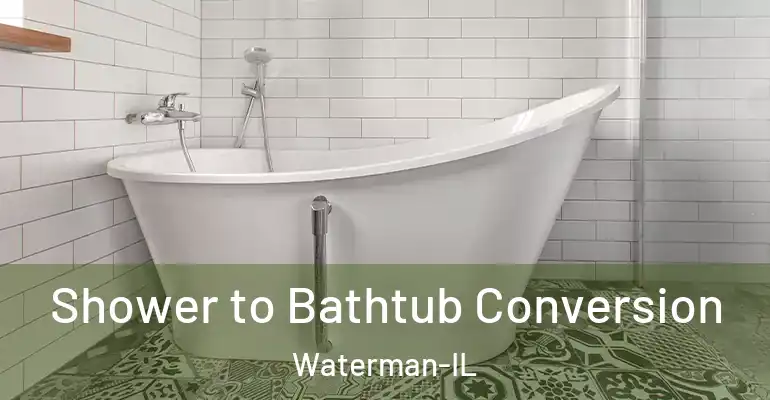 inner Bathroom imggen Shower to Bathtub Conversion Waterman-IL
