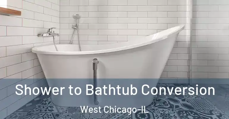 inner Bathroom imggen Shower to Bathtub Conversion West Chicago-IL