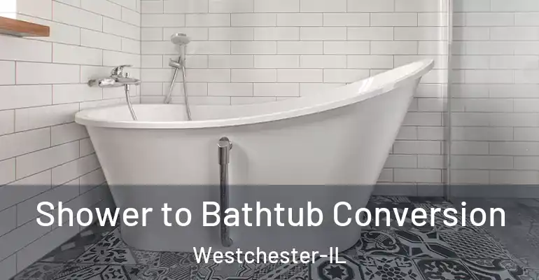 inner Bathroom imggen Shower to Bathtub Conversion Westchester-IL