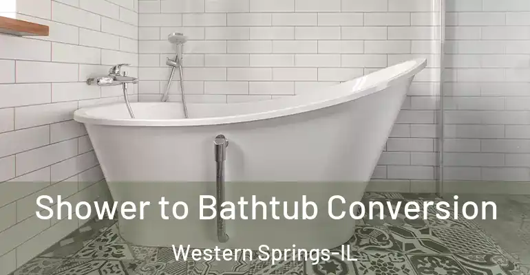 inner Bathroom imggen Shower to Bathtub Conversion Western Springs-IL