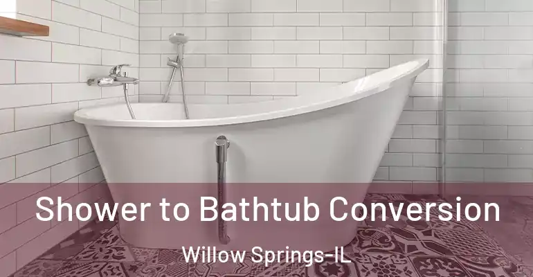 inner Bathroom imggen Shower to Bathtub Conversion Willow Springs-IL