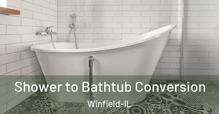 inner Bathroom imggen Shower to Bathtub Conversion Winfield-IL