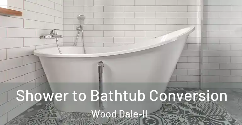 inner Bathroom imggen Shower to Bathtub Conversion Wood Dale-IL