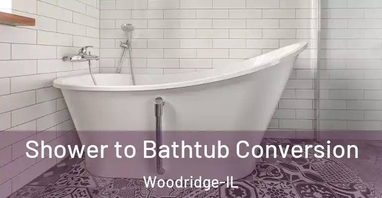 inner Bathroom imggen Shower to Bathtub Conversion Woodridge-IL