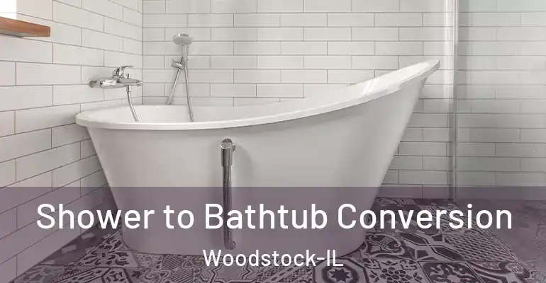 inner Bathroom imggen Shower to Bathtub Conversion Woodstock-IL