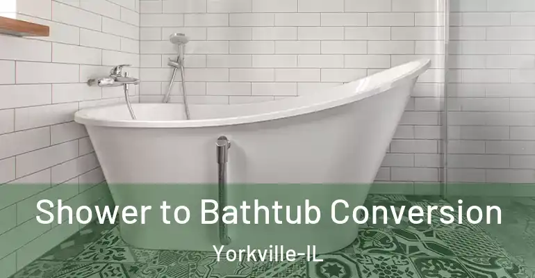 inner Bathroom imggen Shower to Bathtub Conversion Yorkville-IL