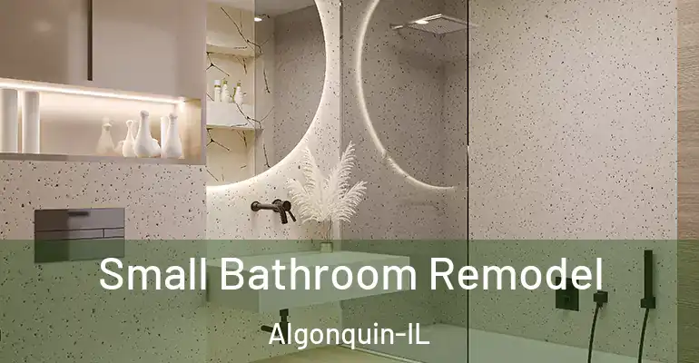 inner Bathroom imggen Small Bathroom Remodel Algonquin-IL