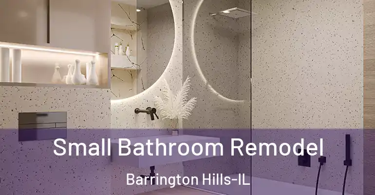 inner Bathroom imggen Small Bathroom Remodel Barrington Hills-IL