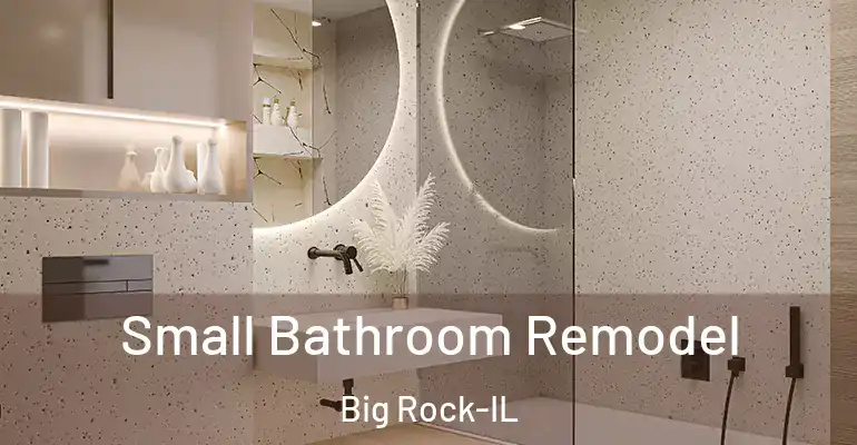 inner Bathroom imggen Small Bathroom Remodel Big Rock-IL