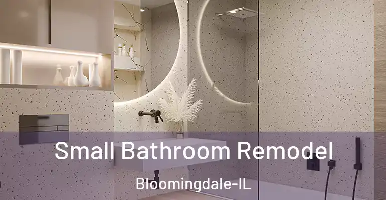 inner Bathroom imggen Small Bathroom Remodel Bloomingdale-IL