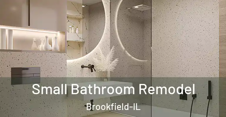 inner Bathroom imggen Small Bathroom Remodel Brookfield-IL