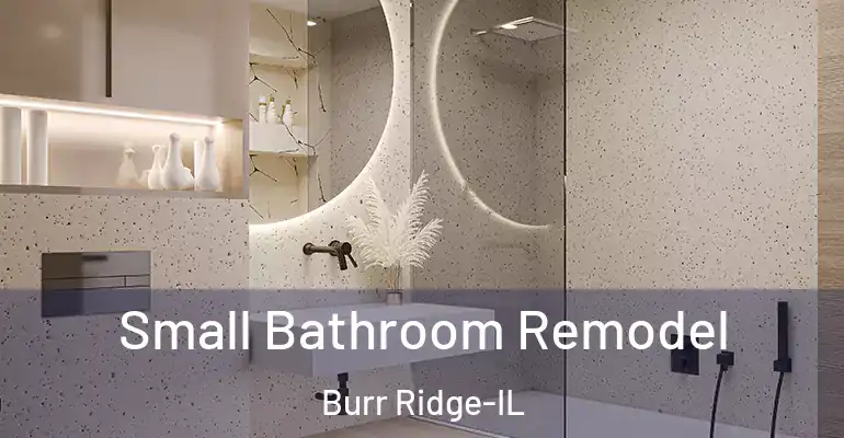 inner Bathroom imggen Small Bathroom Remodel Burr Ridge-IL