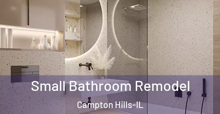 inner Bathroom imggen Small Bathroom Remodel Campton Hills-IL