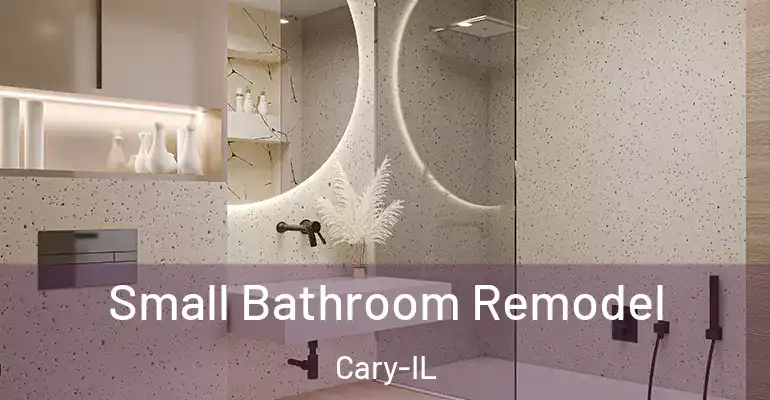 inner Bathroom imggen Small Bathroom Remodel Cary-IL
