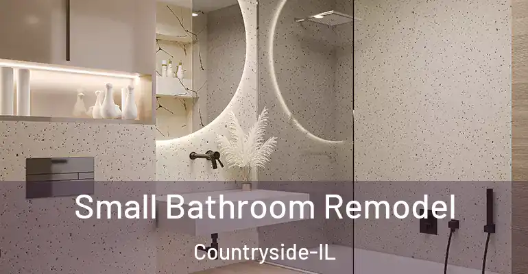 inner Bathroom imggen Small Bathroom Remodel Countryside-IL