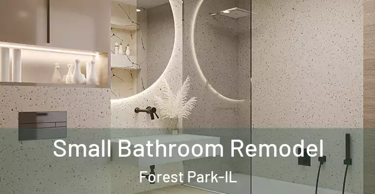 inner Bathroom imggen Small Bathroom Remodel Forest Park-IL