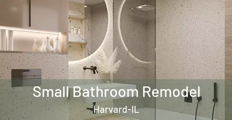 inner Bathroom imggen Small Bathroom Remodel Harvard-IL