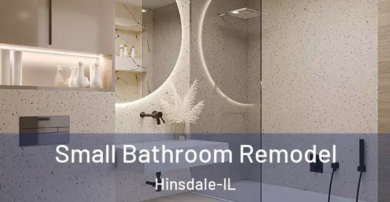inner Bathroom imggen Small Bathroom Remodel Hinsdale-IL